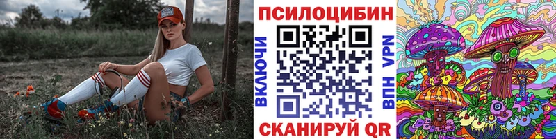 Псилоцибиновые грибы Psilocybe  Нерехта 